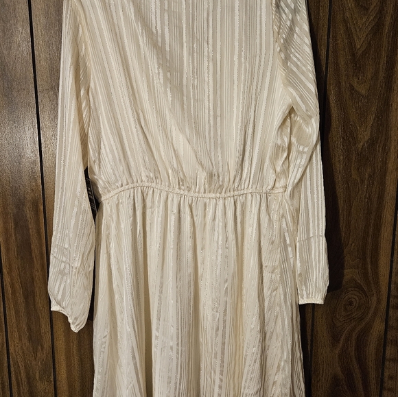 Express Dress - Picture 2 of 5